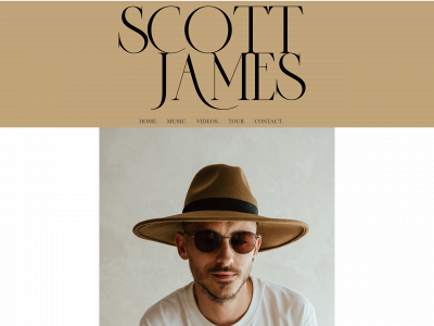 scottjamesofficial.co.uk snapshot