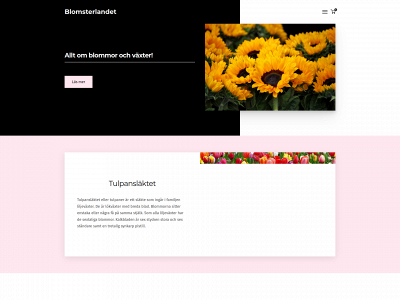 byggdinsajt.se snapshot