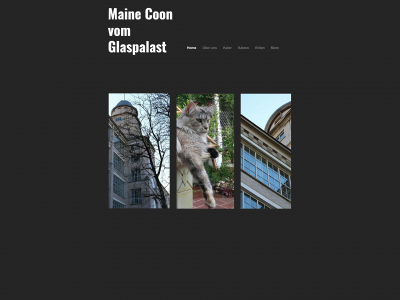 vom-glaspalast.de snapshot