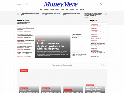 moneymere.com snapshot