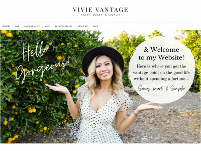 vivievantage.com snapshot
