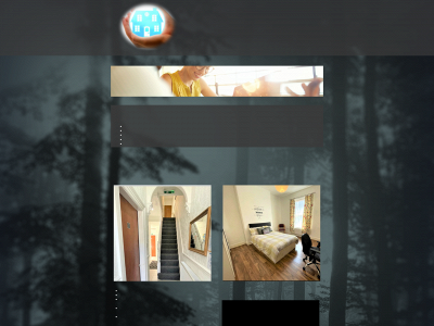 promisehousinguk.com snapshot