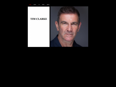 timclarkemusic.com snapshot