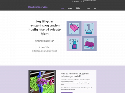 reamultiservice.dk snapshot