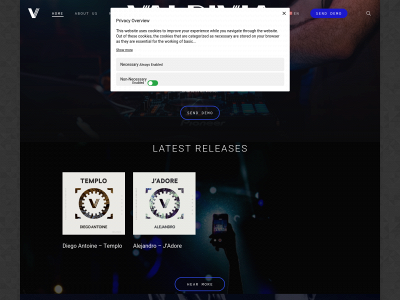 valdiviarecords.com snapshot
