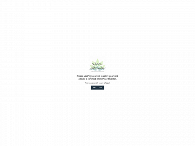 holistic207.com snapshot