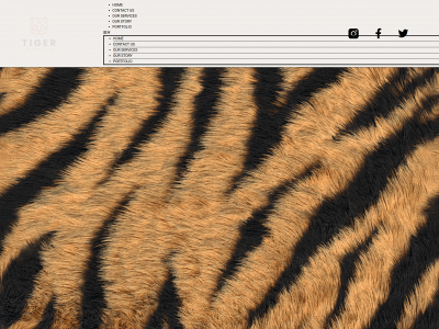 tigerwebdesigncanada.com snapshot