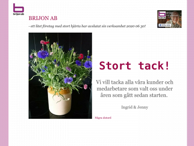 brijon.se snapshot