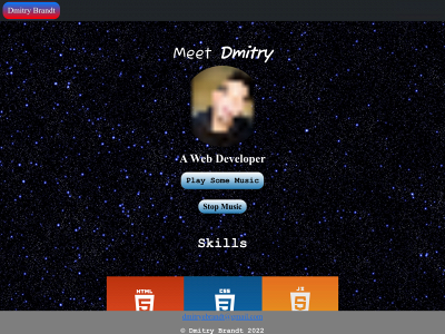 dmitrybrandt.com snapshot