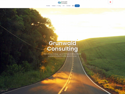 grunwald.consulting snapshot