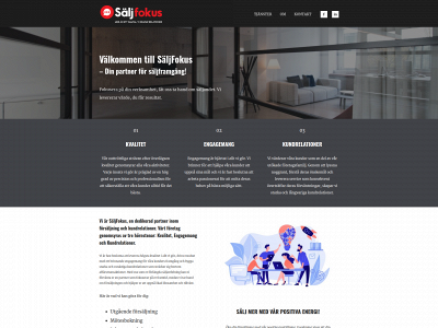 saljfokus.se snapshot