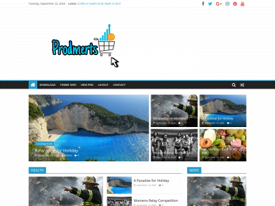 prodmerts.com snapshot