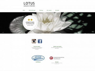 lotusmassagefriskvard.se snapshot