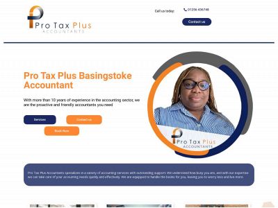 protaxplusbasingstoke.co.uk snapshot