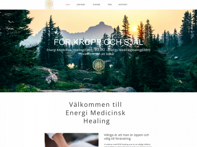 energimedicinskhealing.com snapshot