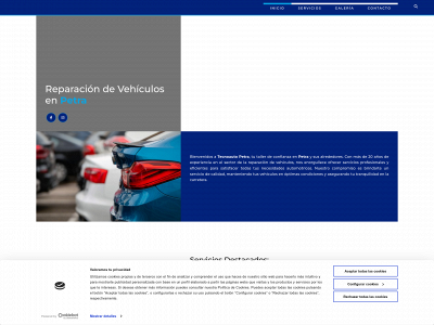 www.tecnoautopetra.es snapshot