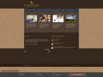 nykscionamai.lt snapshot