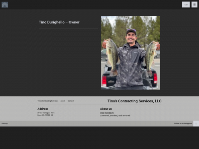 tinoscontracting.com snapshot