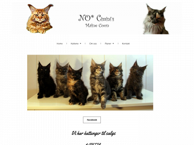 ciminis.com snapshot