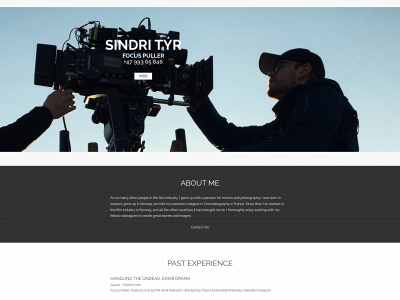 sindrityr.com snapshot