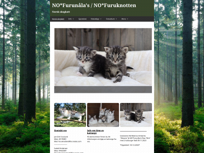 furunalas.com snapshot