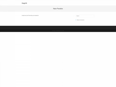 wagli36.ch snapshot