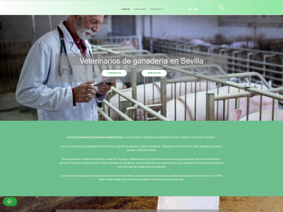 www.pumarinoveterinaria.com snapshot