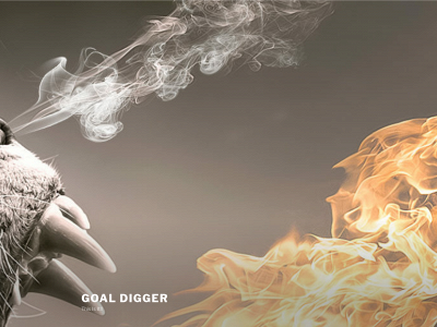 therealgoaldigger.com snapshot