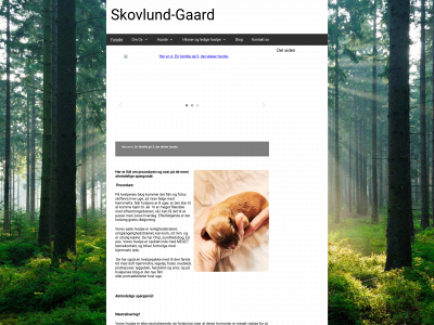 skovlund-gaard.dk snapshot