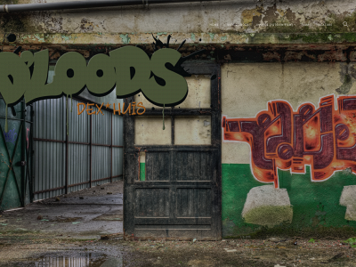dloods.nl snapshot