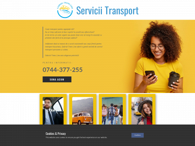 transporttimisoara.com snapshot