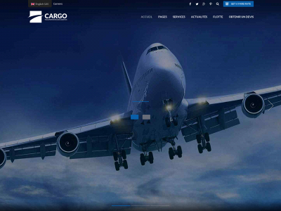 vip-package.com snapshot