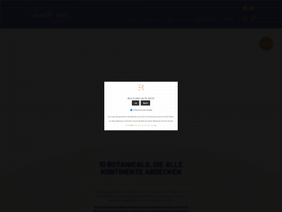 tintegin.de snapshot