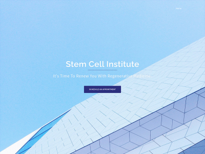 stemcellinstituteinternational.com snapshot
