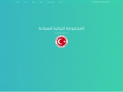 turktravelgroup.com snapshot