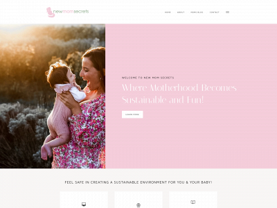 newmomsecrets.com snapshot