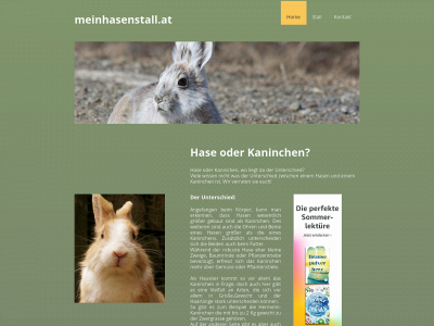 meinhasenstall.at snapshot