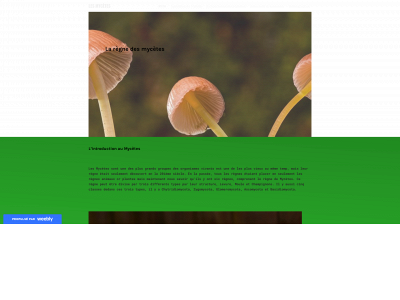 regnemycetes.weebly.com snapshot