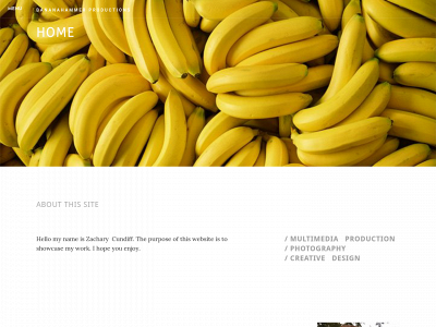 zacharycundiff.weebly.com snapshot