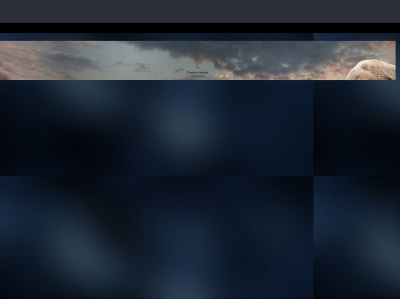 arnegunnar.dk snapshot