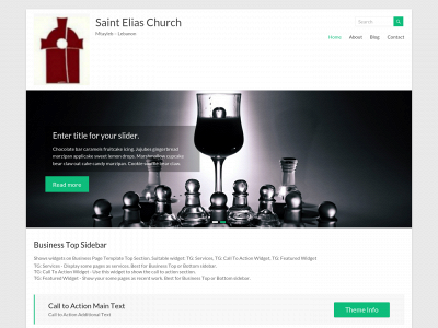 sainteliaschurchmtayleb.com snapshot