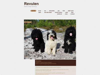 revulen.no snapshot