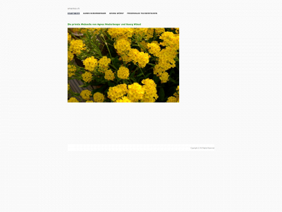 amantes.ch snapshot