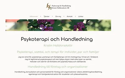 psykoterapi.one snapshot