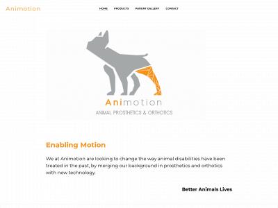 www.ani-motion.co.za snapshot