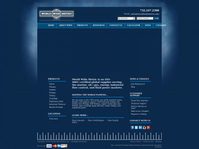 worldwidemetric.com snapshot