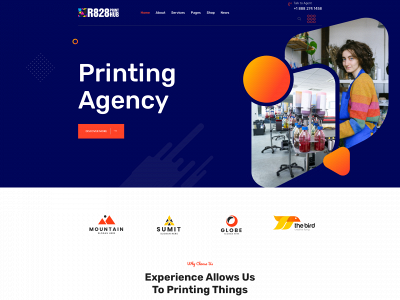 r828printhub.store snapshot