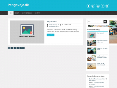 pengeveje.dk snapshot