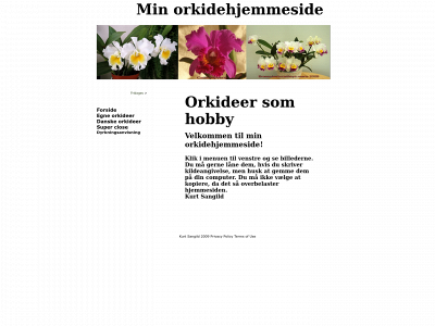 kurtsangild.dk snapshot