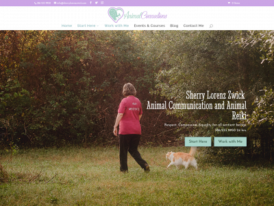 sherrylorenzzwick.com snapshot
